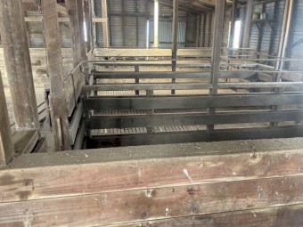 Shearing shed