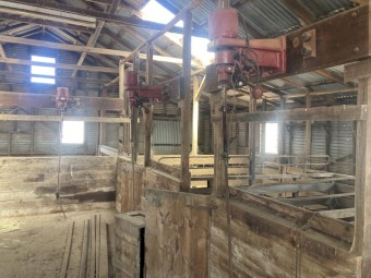 Shearing shed