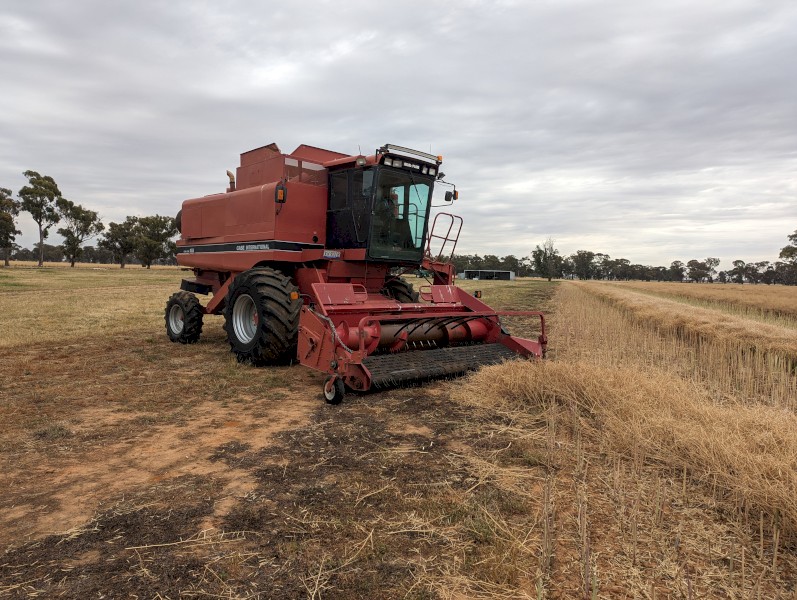 Case IH 1688 with 36ft 1040 front and 1015 pickup