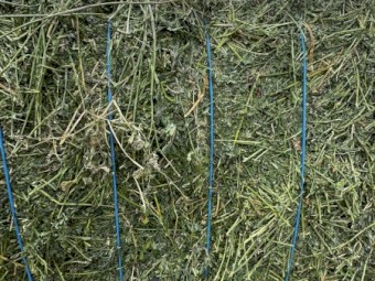 800mt Lucerne Hay 8x4x3 Bales