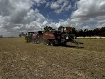 800mt Lucerne Hay 8x4x3 Bales
