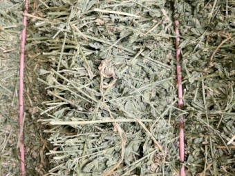 65mt Lucerne Hay 8x4x3 Bales