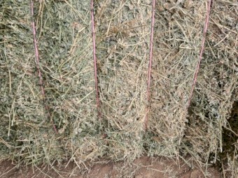 65mt Lucerne Hay 8x4x3 Bales