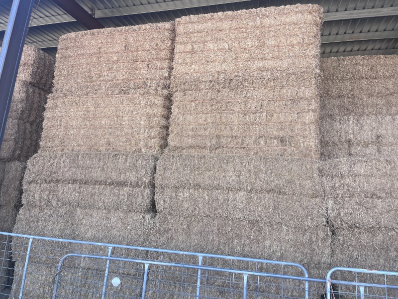 100mt Vetch Hay 8x4x3 Bales