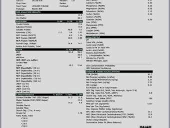 100mt Vetch Hay 8x4x3 Bales