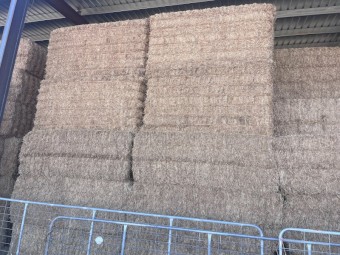 100mt Vetch Hay 8x4x3 Bales