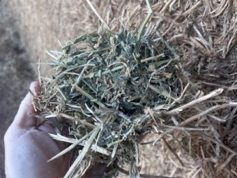 100mt Vetch Hay 8x4x3 Bales