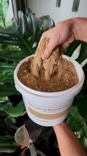 Premium Indoor Plant Fertilisers at Soil Dynamics – Nourish Your Greens!