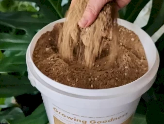 Premium Indoor Plant Fertilisers at Soil Dynamics – Nourish Your Greens!