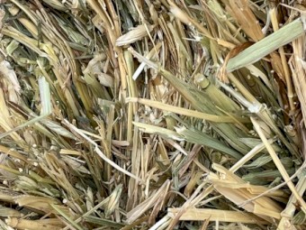 2024 shedded Oaten Hay for sale