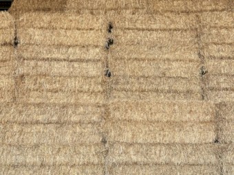 2024 shedded Oaten Hay for sale