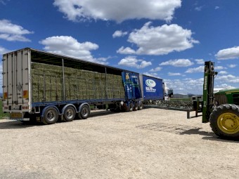 Lucerne Small Bales (Very Good Shop Quality)