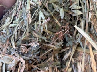 Oaten/Lucerne Hay