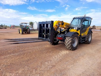 Cotton spears - Cotton forks