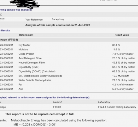 Top Quality Barley Hay  (With feedtest)