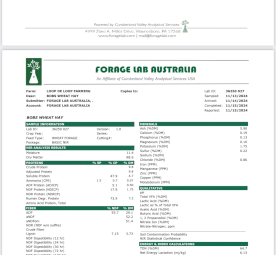 200mt Awnless Wheat Hay 690kg 8x4x3 Bales
