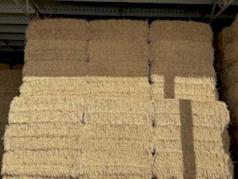 200mt Awnless Wheat Hay 690kg 8x4x3 Bales