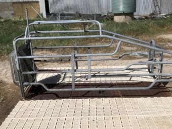 Piggery farrowing Crates x 31