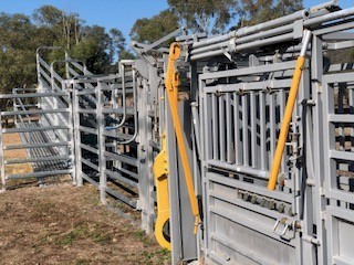 Custom LEICHT'S CIA  Wrangler 30 head Yards For Sale