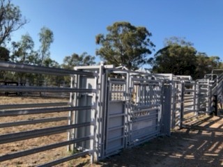 Custom LEICHT'S CIA  Wrangler 30 head Yards For Sale