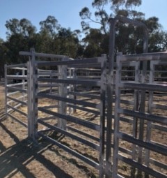 Custom LEICHT'S CIA  Wrangler 30 head Yards For Sale