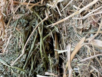 210 x Lucerne Hay 500-520kg 8x4x3 Bales 3rd Cut