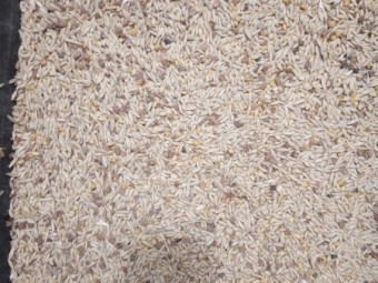 29t Feed Grain Mix