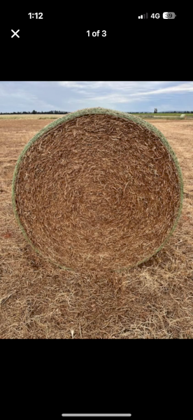 90mt Vetch Hay 5x4 Round Bales