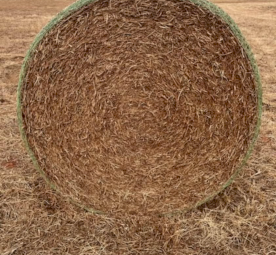 90mt Vetch Hay 5x4 Round Bales