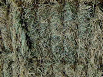 300mt Wheaten Hay 640kg 8x4x3 Bales