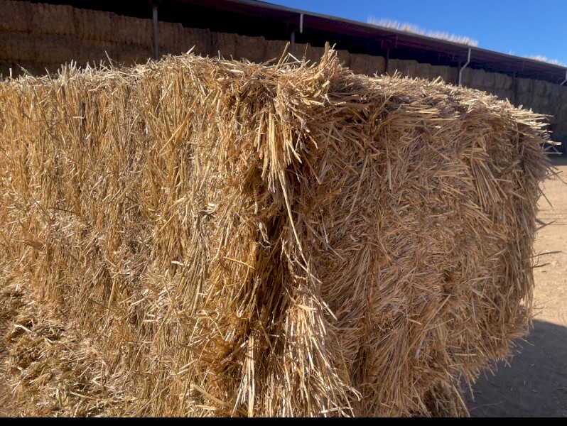 500 mt Wheat Straw 8x4x3 