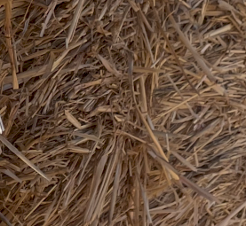 500 mt Wheat Straw 8x4x3 