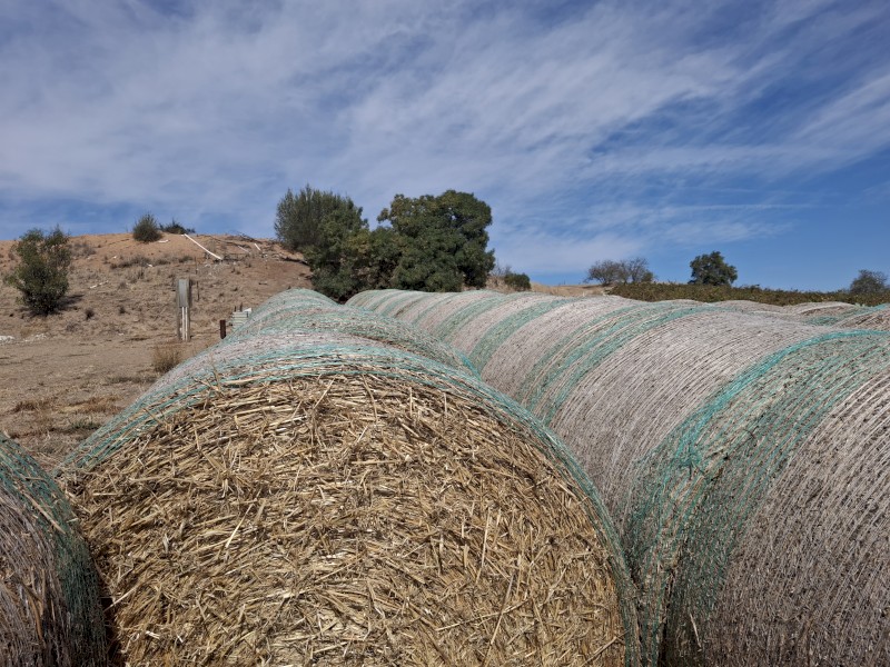 26 x Barley Straw 5x4 Rolls