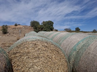 26 x Barley Straw 5x4 Rolls