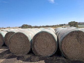 Pea Straw 5x4 rolls, Dec 2023