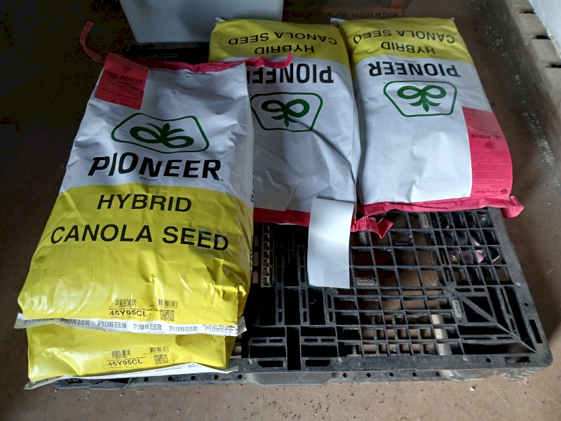 Pioneer 45Y95CL Clearfield Hybrid Canola seed