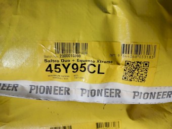 Pioneer 45Y95CL Clearfield Hybrid Canola seed