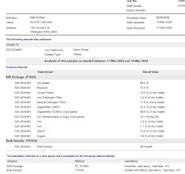 Feed Wheat 2024 Harvest