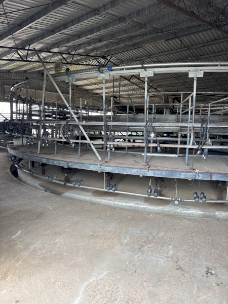 50 stand rotary milking plant