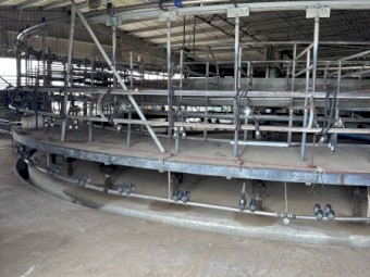 50 stand rotary milking plant