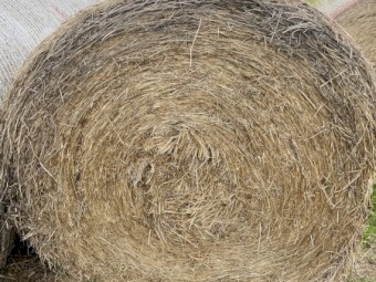 100 x Mixed Lucerne & Oats Hay Round bales