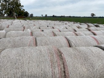 100 x Mixed Lucerne & Oats Hay Round bales