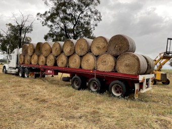 100 x Mixed Lucerne & Oats Hay Round bales