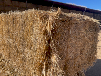 500 mt Wheat Straw (8x4x3) 