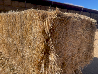 500 mt Wheat Straw (8x4x3) 