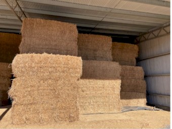Lucerne hay 8 x4x 3