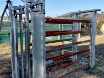 Portable Cattle Crush