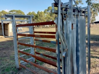 Portable Cattle Crush