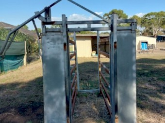 Portable Cattle Crush