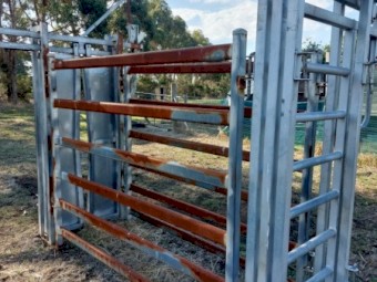 Portable Cattle Crush